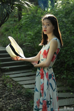 九一网站下载页面